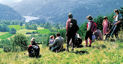 Wandern im Schwarzwald  Tourismus-Marketing GmbH St. Blasier Land