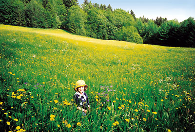 Im Schwarzwald  Tourismus-Marketing GmbH St. Blasier Land