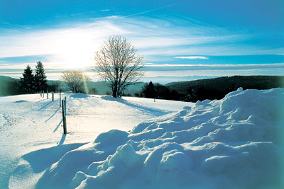 Winter im Schwarzwald  Tourismus-Marketing GmbH St. Blasier Land