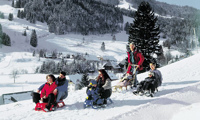 Rodeln im Schwarzwald  Tourismus-Marketing GmbH St. Blasier Land